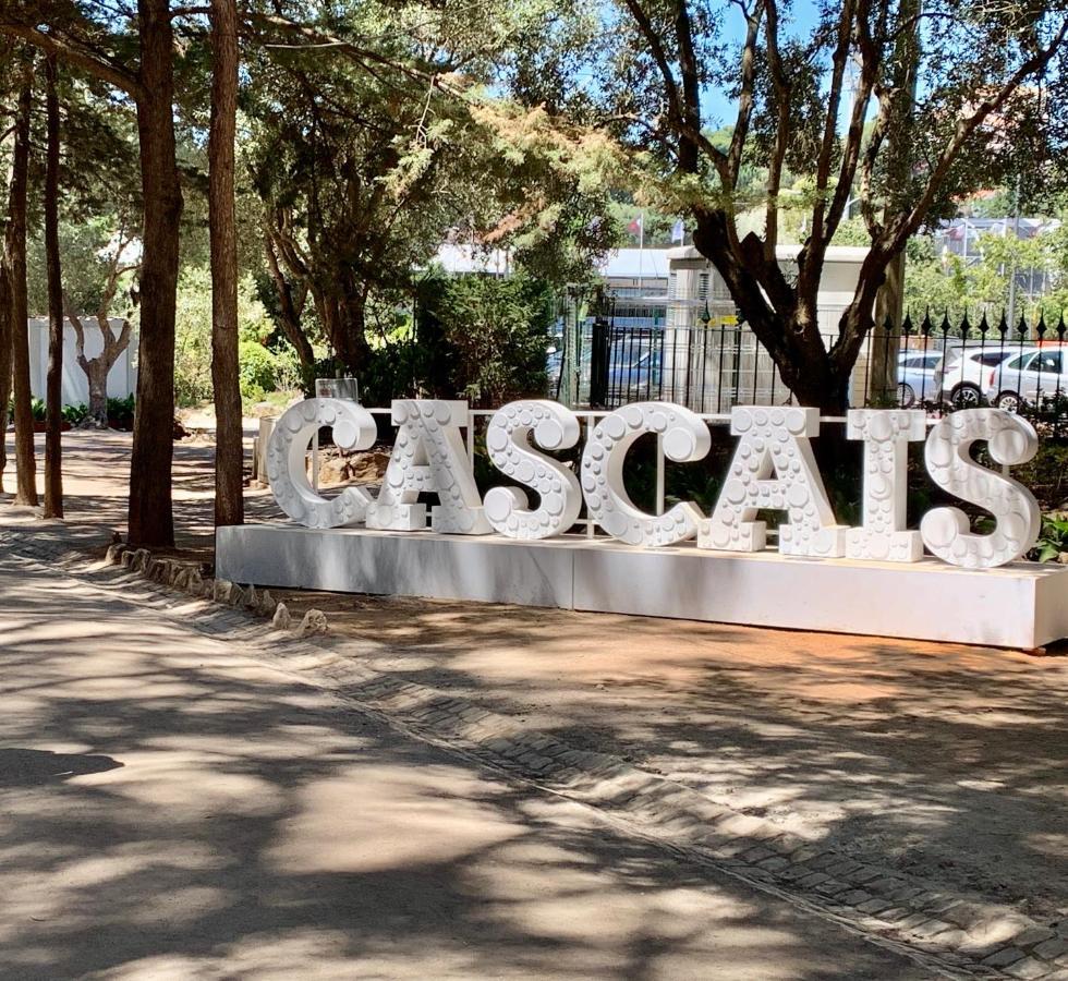 Cascais Spacious Getaway エクステリア 写真